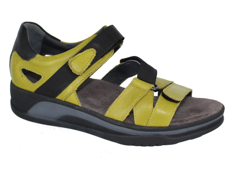 Wolky Desh Olive